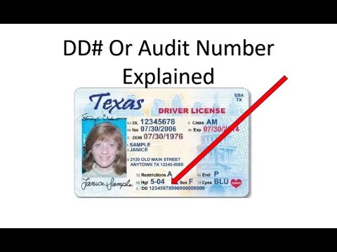 audit number texas license